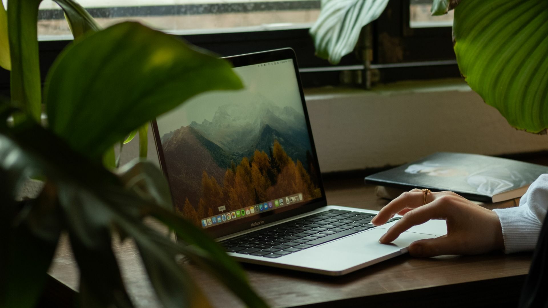 A realtor in front of her laptop has just begun searching online for a comparison of Facebook vs. Google Ads.