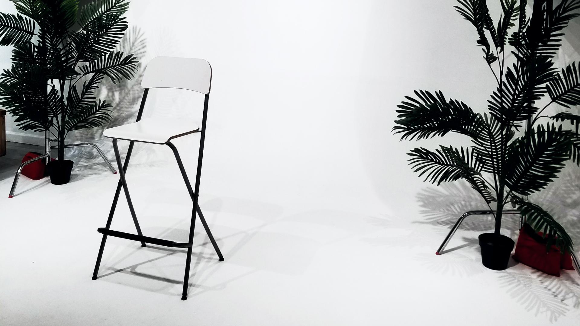 image of a video shoot set up with a chair and plants against a backdrop