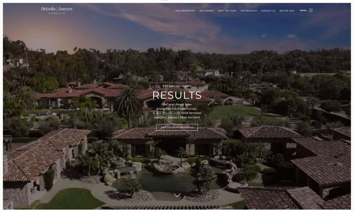 brizolis janzen website