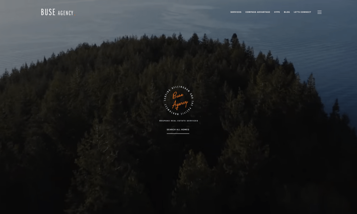 Buse agency website