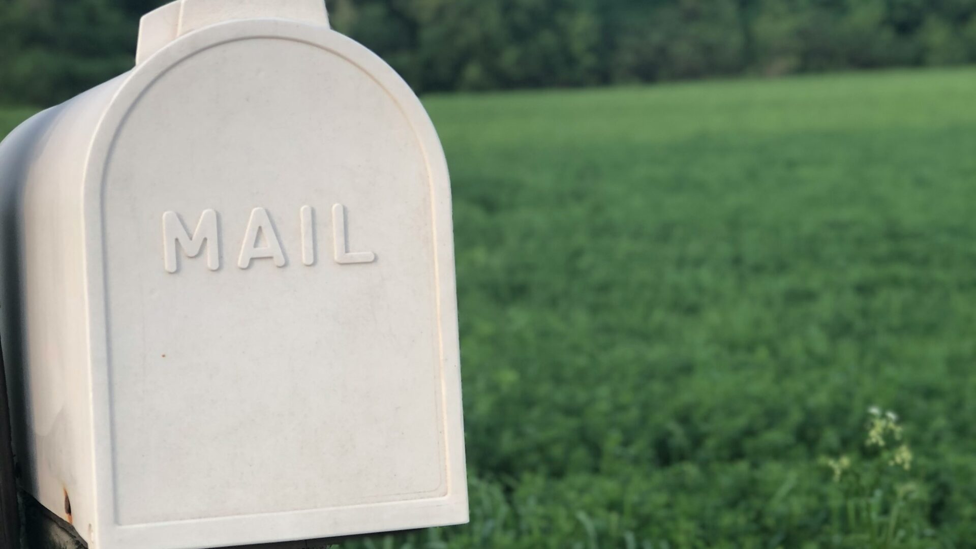 A cream colored mailbox with the word "mail" on it standing in front of a grassy expanse