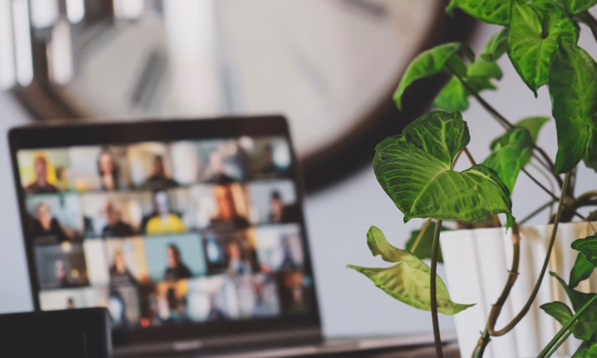 A screen showing virtual attendees at a real estate webinar next to a plant on a desk