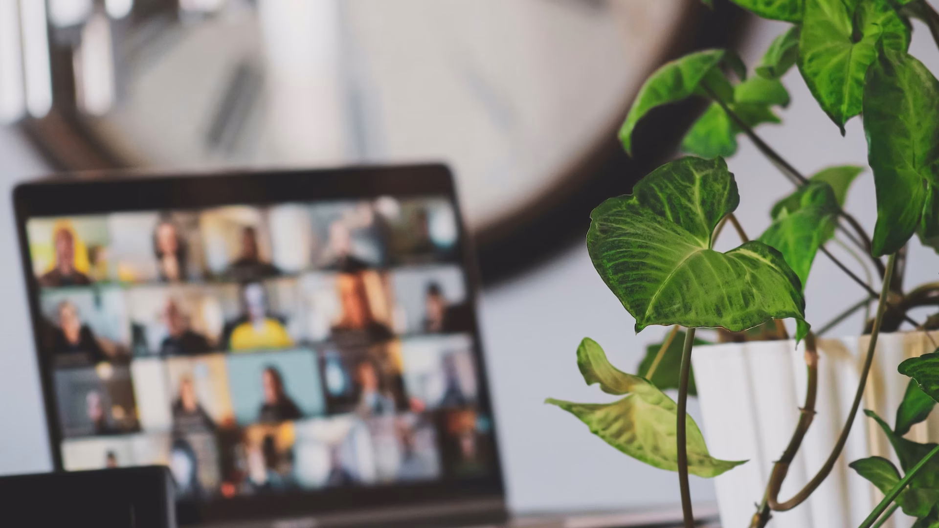 A screen showing virtual attendees at a real estate webinar next to a plant on a desk