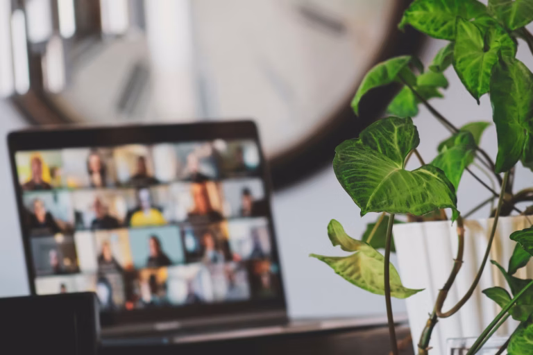 A screen showing virtual attendees at a real estate webinar next to a plant on a desk