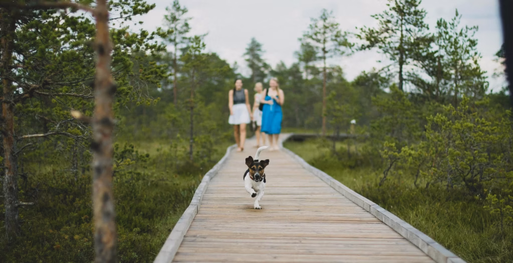 A small dog runs ahead of three women on a wooden walkway, acting as their neighborhood guide