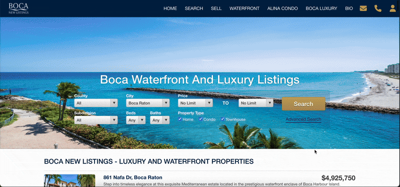 scrolling gif of Real Geeks site, created for Alina Schwartz of One Sotheby’s International Realty